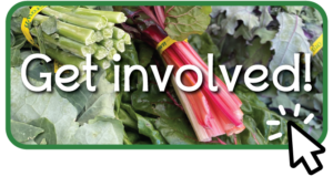 Get Involved